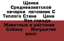 Щенки Среднеазиатской овчарки (питомник С Теплого Стана) › Цена ­ 20 000 - Все города Животные и растения » Собаки   . Ингушетия респ.